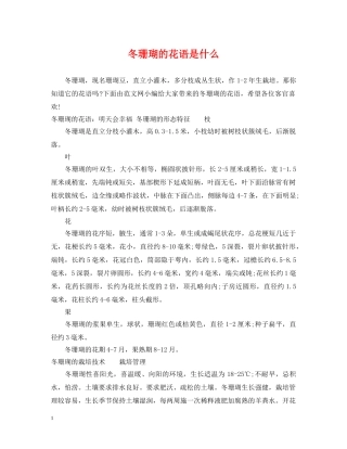 冬珊瑚的花语是什么