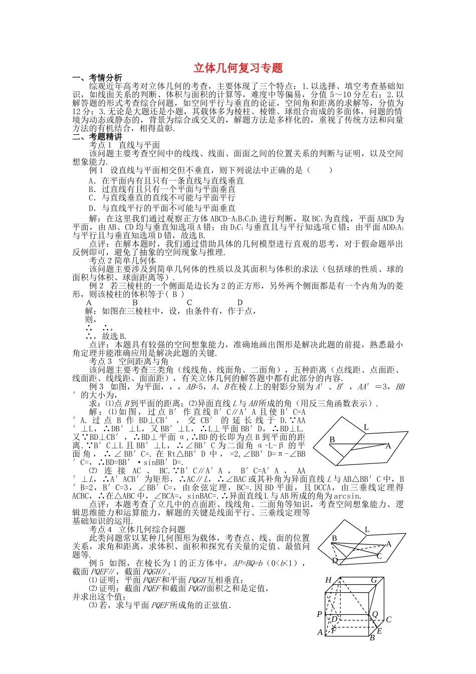 高考数学 立体几何专题复习 人教版 _第1页