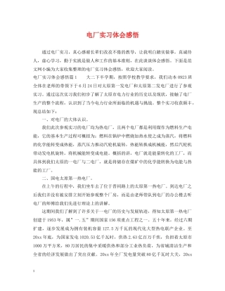 电厂实习体会感悟 