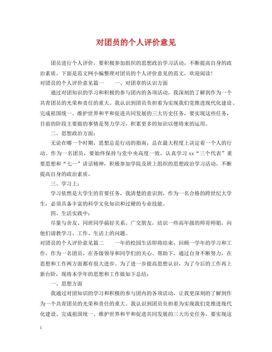 对团员的个人评价意见 _第1页