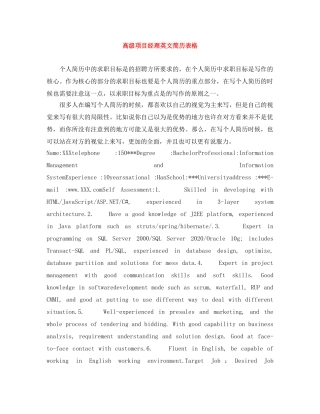 高级项目经理英文简历表格 