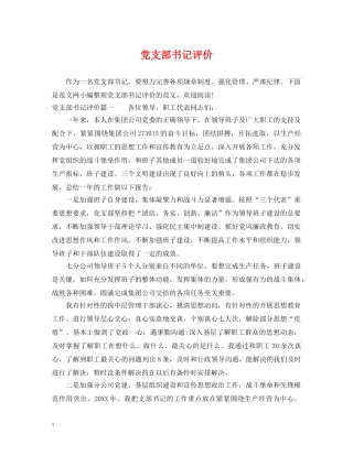 党支部书记评价