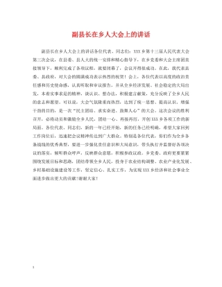 副县长在乡人大会上的讲话