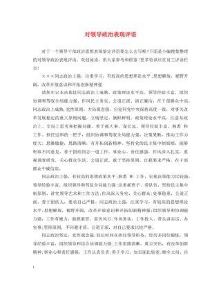 对领导政治表现评语 
