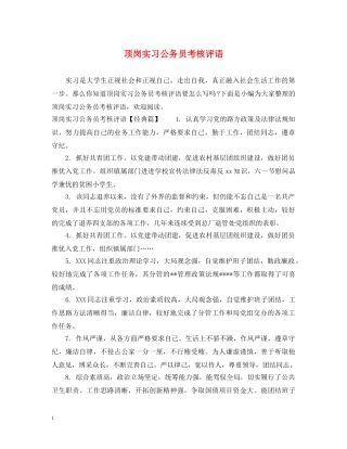 顶岗实习公务员考核评语 