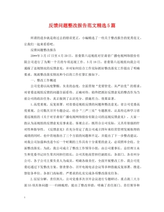 反馈问题整改报告范文精选5篇 