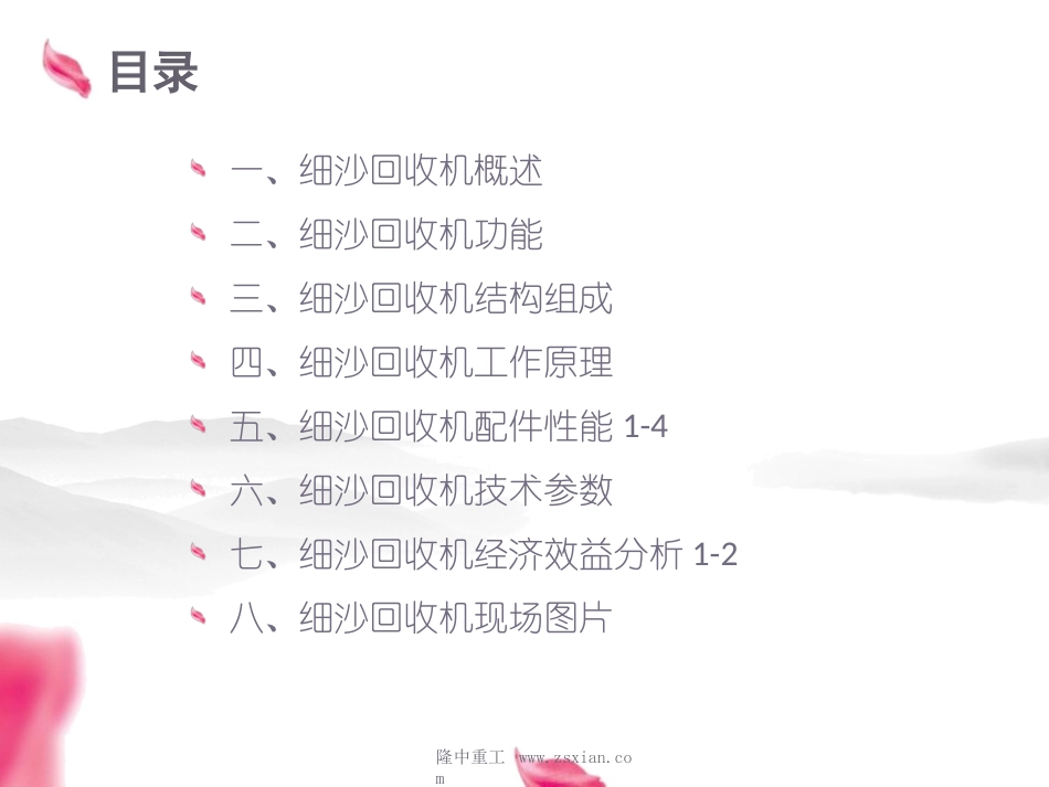 LZ细砂回收机装置_第2页