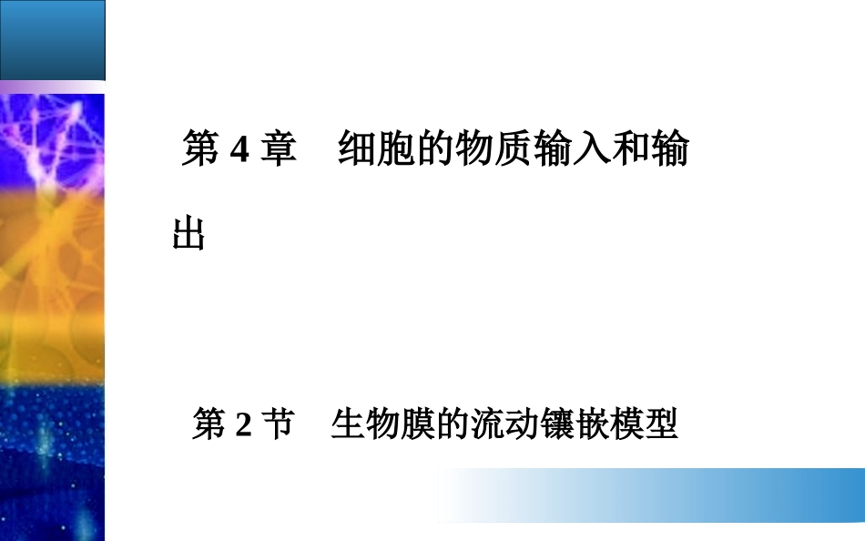 【金版学案】2014-2015高中生物必修1配套课件：4.2生物膜的流动镶嵌模型[来源：学优高考网1835520]_第1页