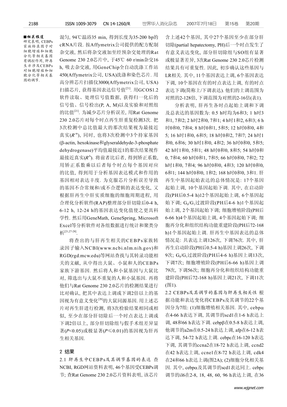 CEBPs及其调节的基因与大鼠肝再生相关性分析_第3页