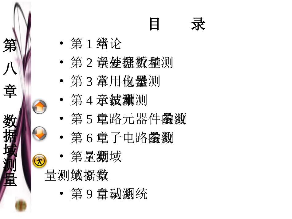 第8章数据域测量_第2页