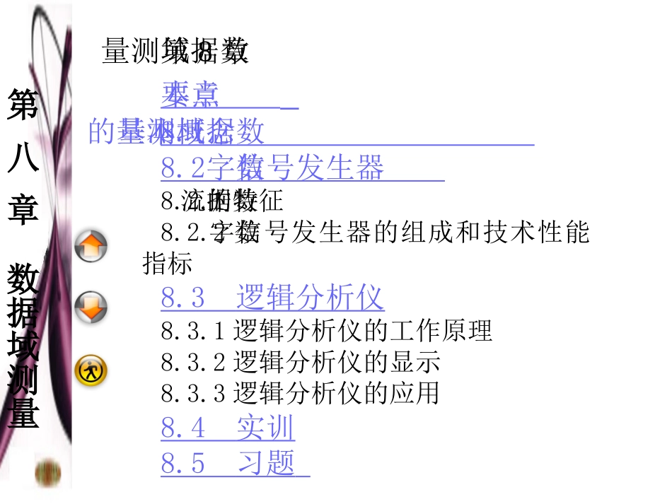 第8章数据域测量_第3页