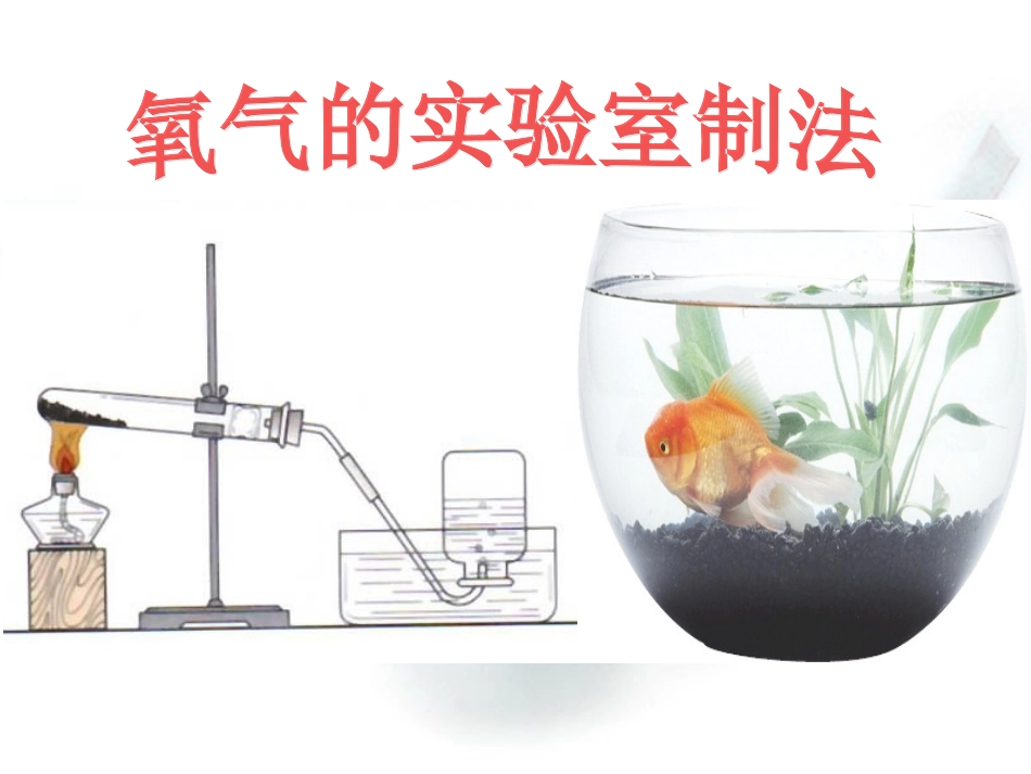 l鲁教版氧气的实验室制取_第1页