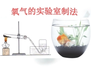 l鲁教版氧气的实验室制取