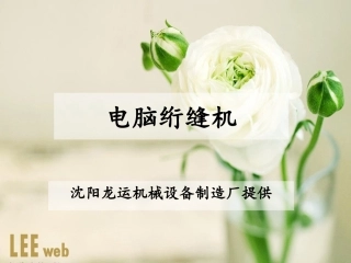 单臂电脑绗缝机