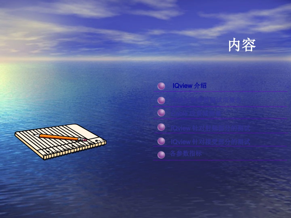 IQview测试介绍_第2页