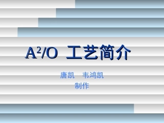 A2O工艺简介