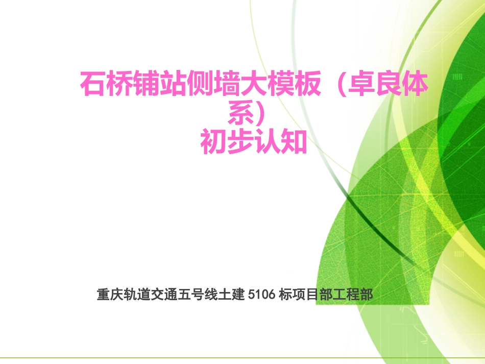 侧墙大模板初步认知_第1页
