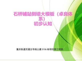 侧墙大模板初步认知