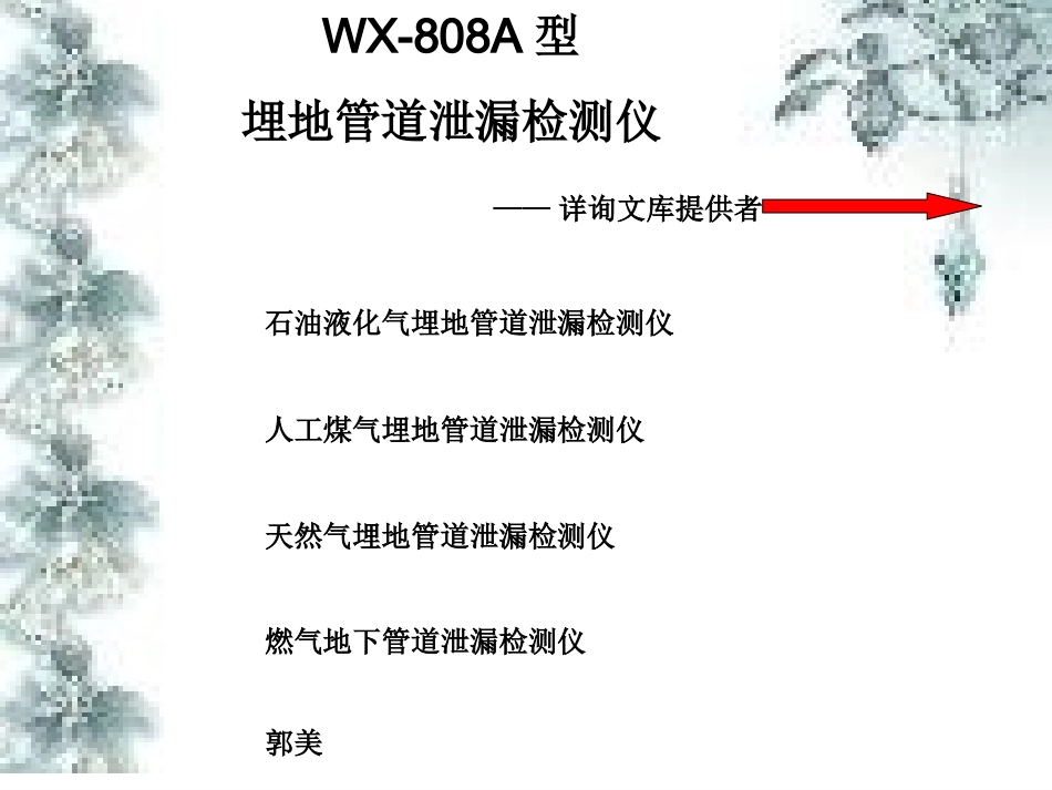 WX-808A型石油石化燃气埋地管道泄漏检测仪厂家、价格、使用方法_第1页