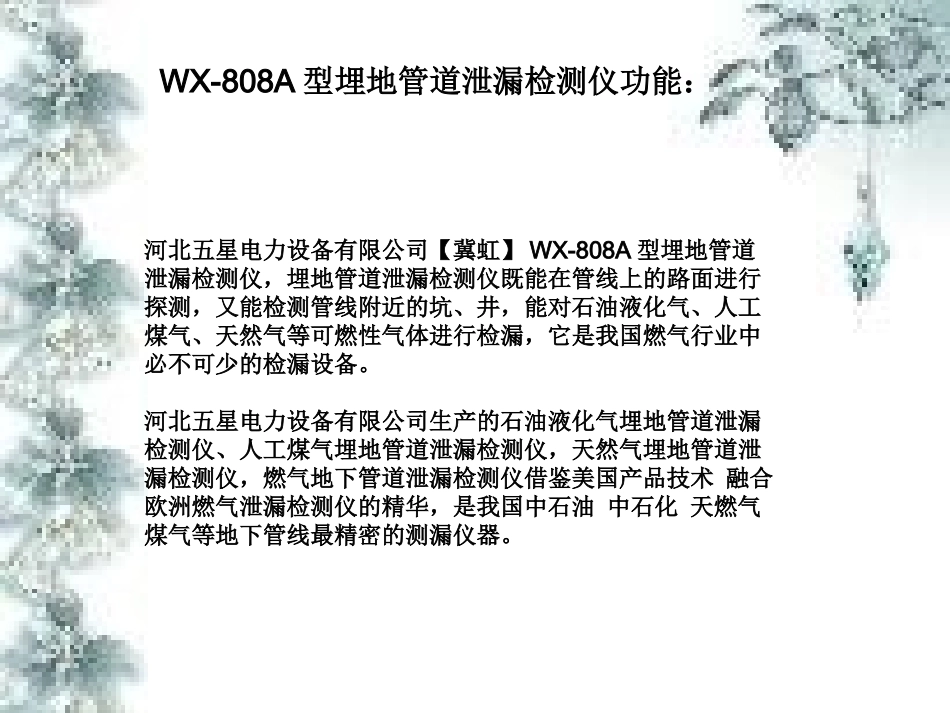 WX-808A型石油石化燃气埋地管道泄漏检测仪厂家、价格、使用方法_第2页