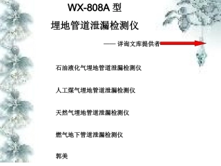 WX-808A型石油石化燃气埋地管道泄漏检测仪厂家、价格、使用方法