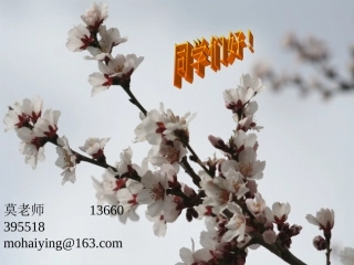 CAD绘图样式,标注,快捷键