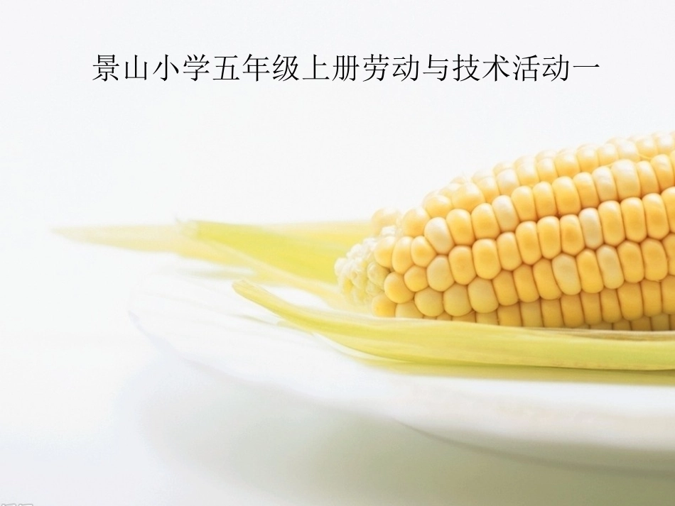 变化玉米结ppt_第1页