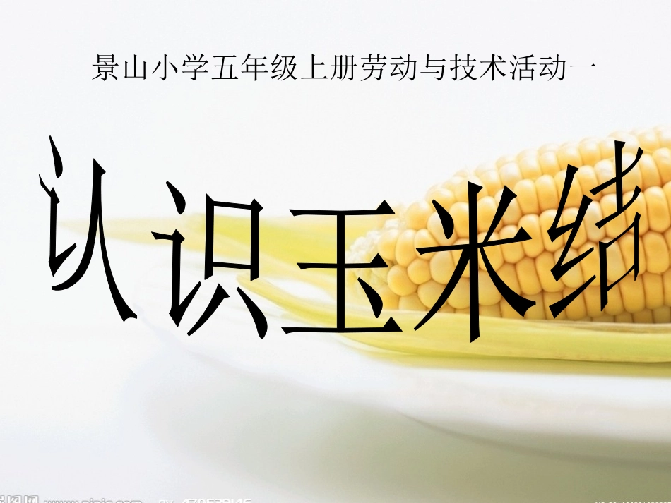 变化玉米结ppt_第2页