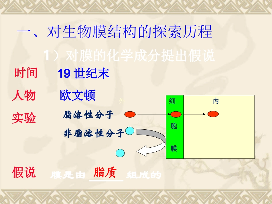 必修一4.2细胞膜流动镶嵌模型_第2页