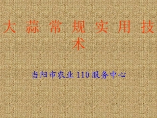 大蒜常规实用技术