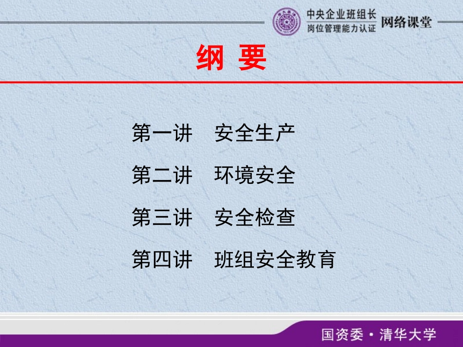 班组安全管理(刘宝龙)_第2页