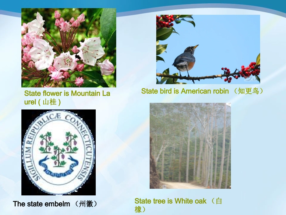 State of Connecticut_第3页