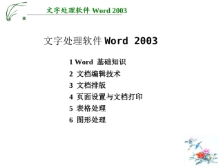 Word2003学习