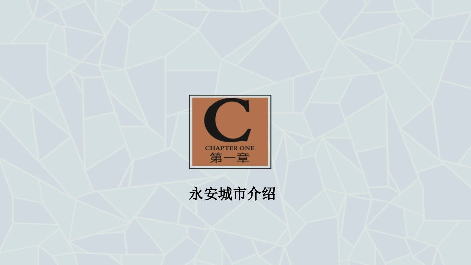 诚上广场项目简介_第3页