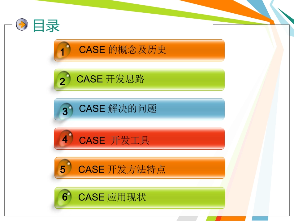 CASE开发方法_第2页