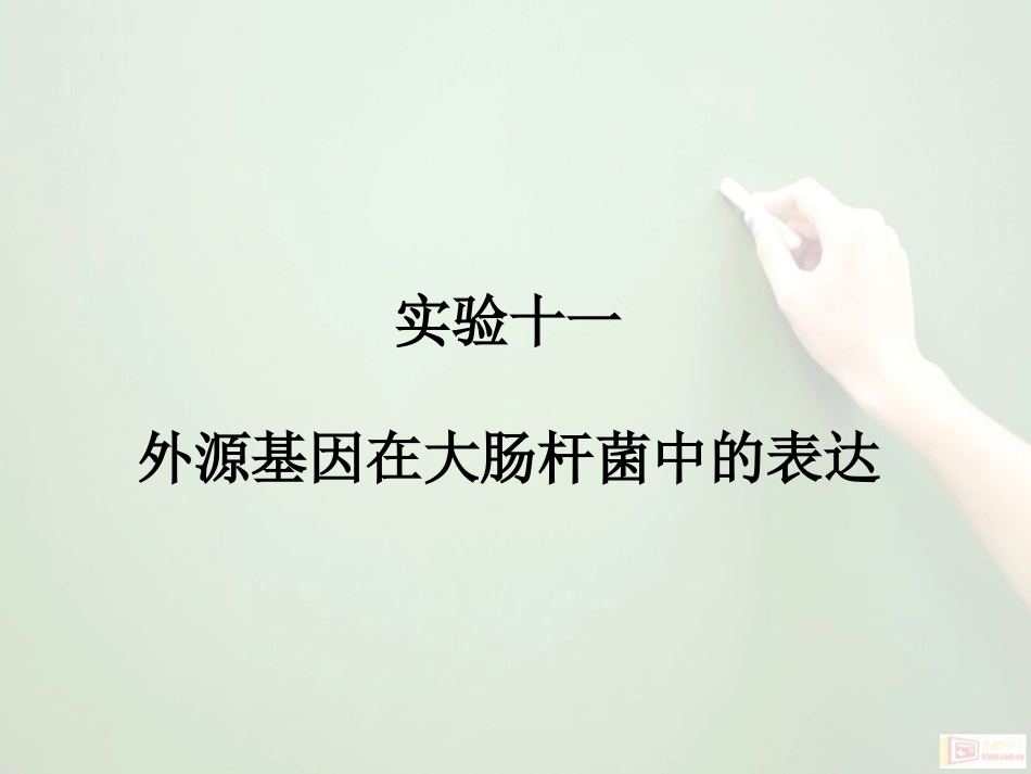 本科生实验指导_第2页