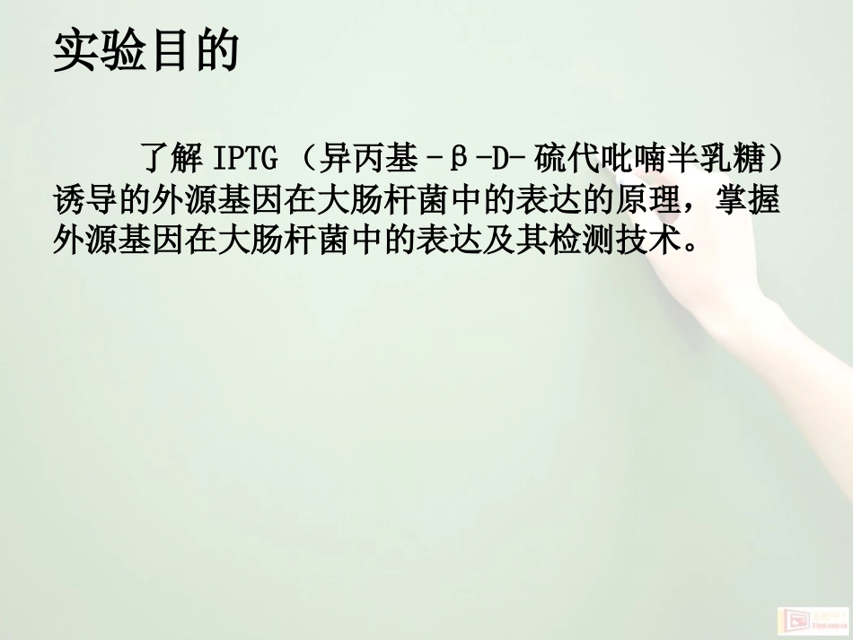 本科生实验指导_第3页