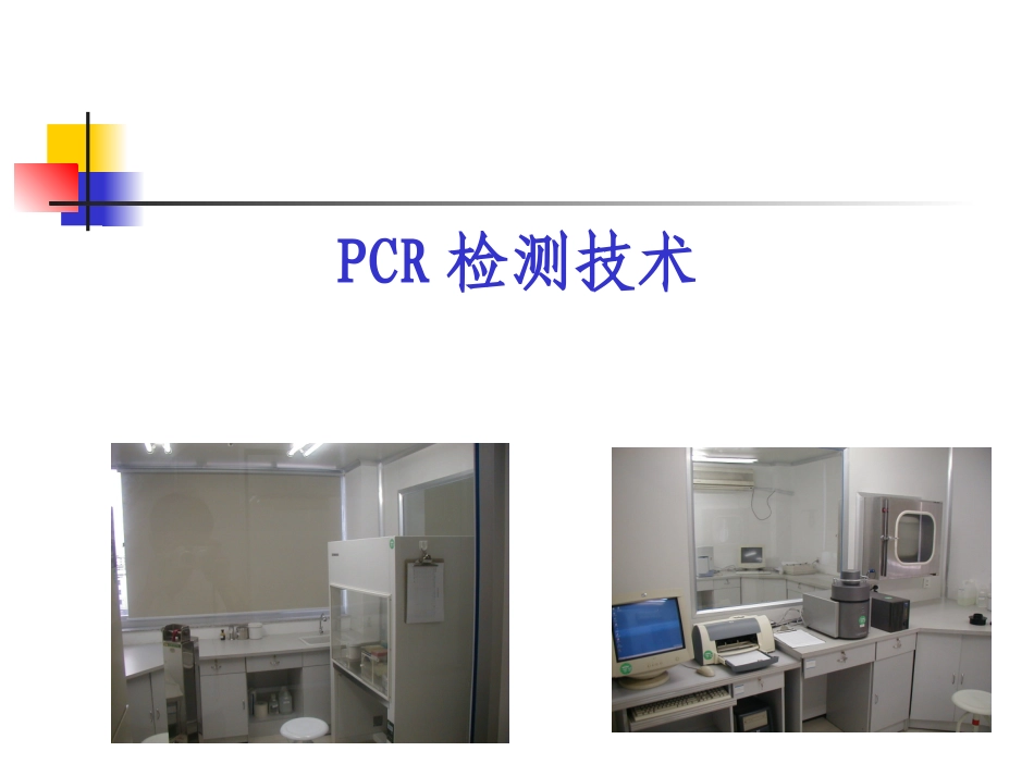 PCR实验室检测技术_第2页