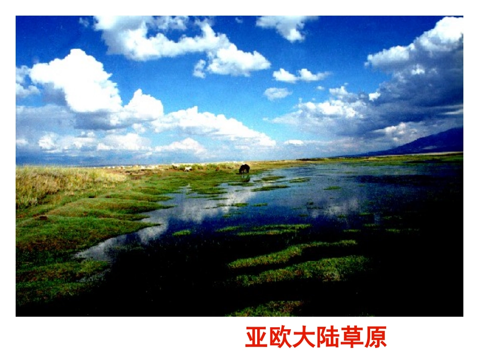 必修三5.5生态系统的稳定性_第3页