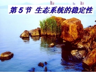 必修三5.5生态系统的稳定性