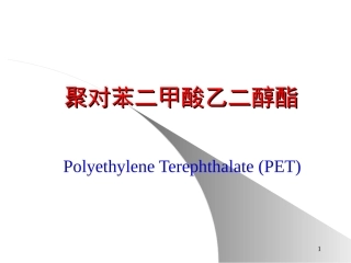 涤纶树脂的生产02