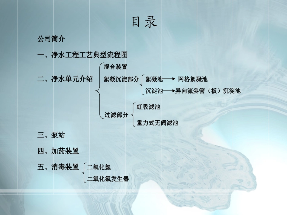 常规净水处理工艺介绍.PPT_第2页