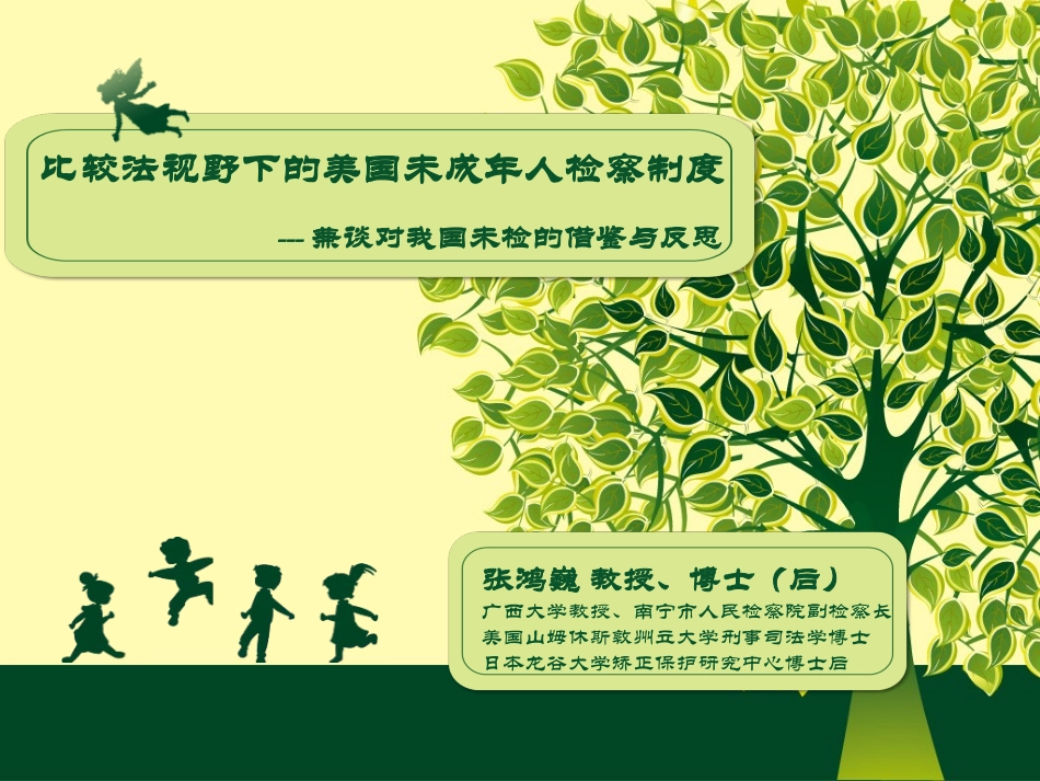 比较法视野下的美国未成年人检察制度：兼谈对我国未检的借鉴与反思_第1页