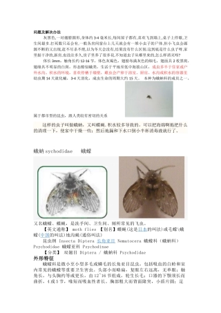 厨房里的小飞虫- 蛾蚋解决办法