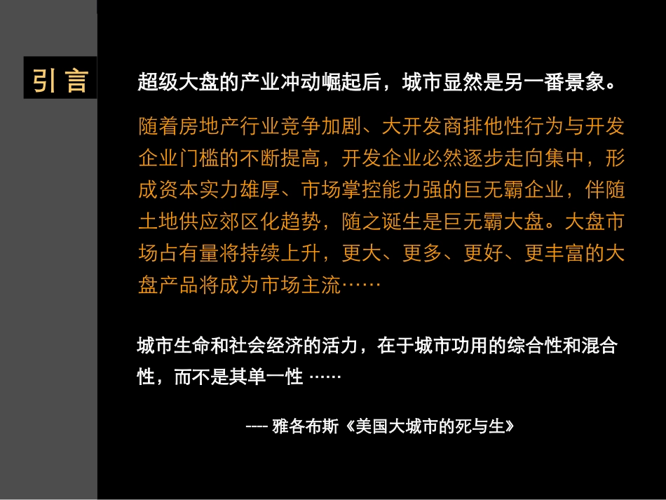 大盘开发模式及策略思考_第2页
