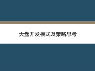 大盘开发模式及策略思考