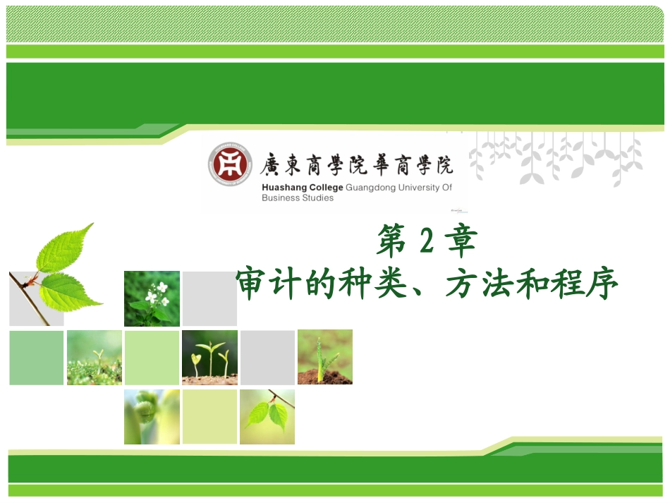 第2章 审计的种类、方法和程序_第1页