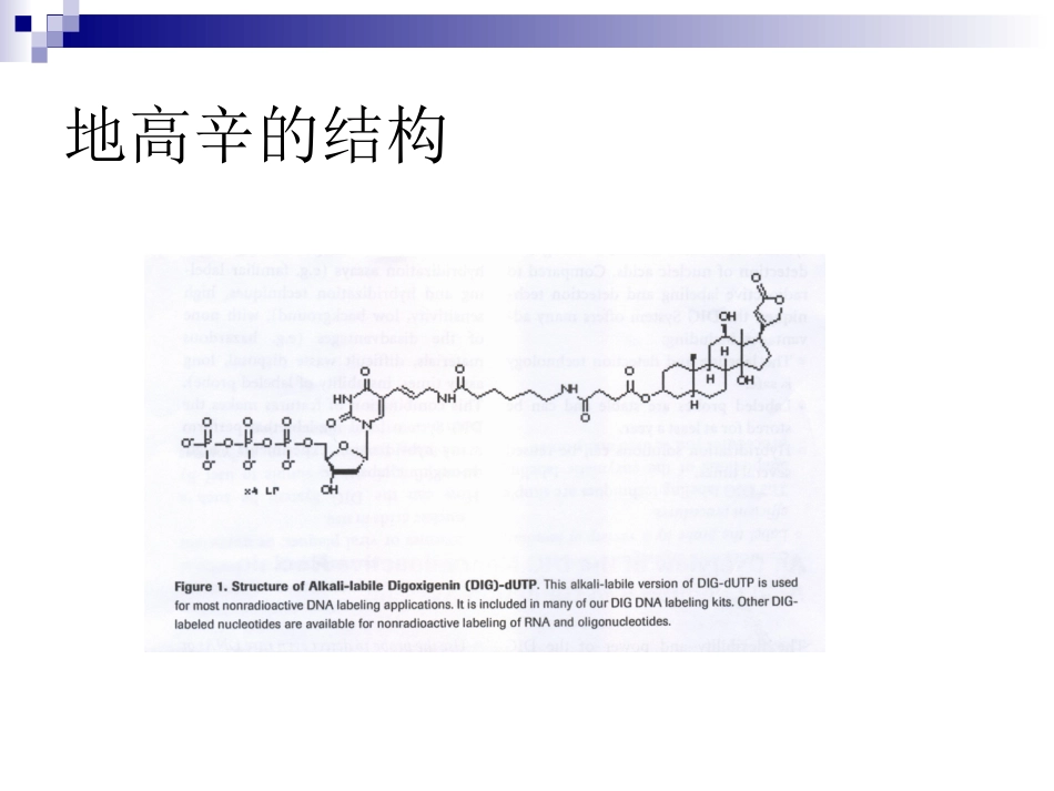 地高辛标记系统_第2页
