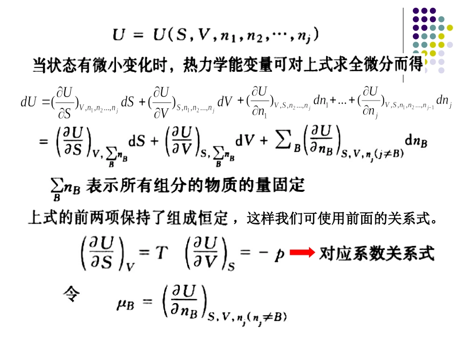 第3节  敞开体系的热力学关系式_第2页