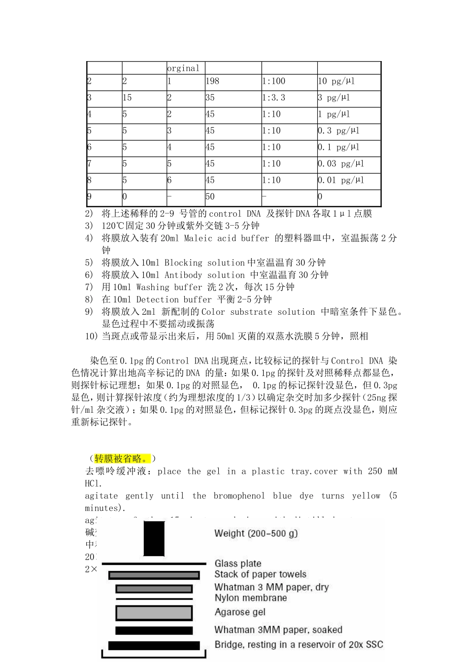 地高辛标记探针的Southern 杂交_第2页